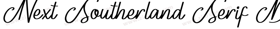 Next Southerland Serif DEMO字体转换